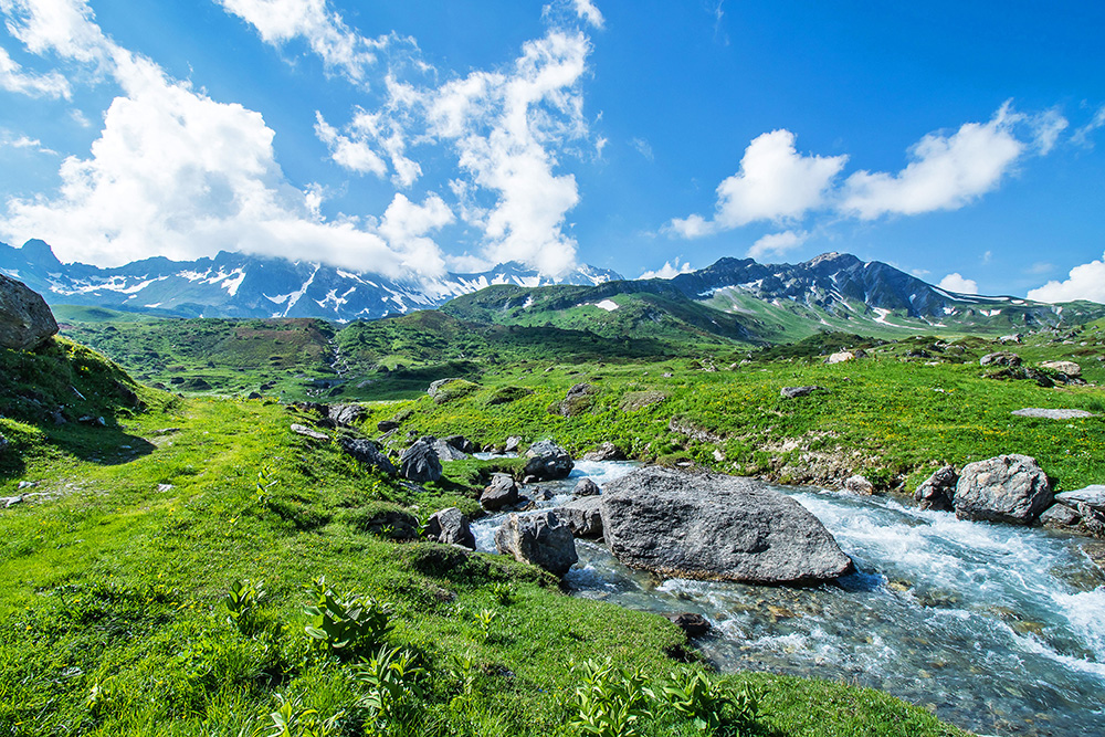 location chalet savoie