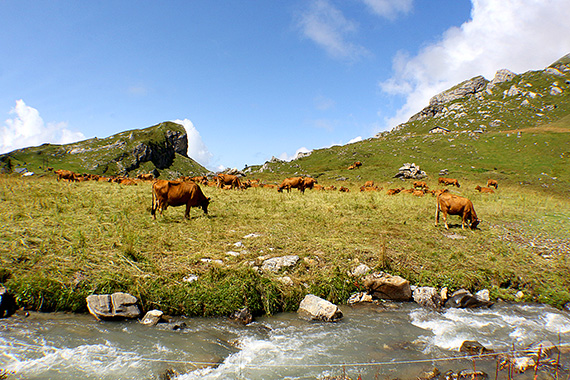 location chalet savoie